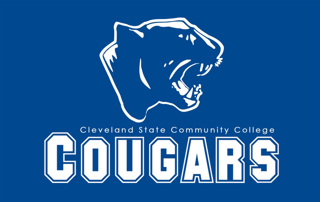 Prospective Cross Country Runner Questionnaire